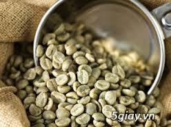 Chuyên cung cấp cà phê hạt rang nguyên chất cho các Quán cafe giá sĩ