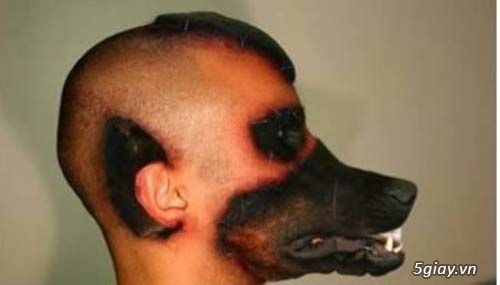 [Hỏi] Làm gì để chó mèo hàng xóm ko ị ở sân nhà mình ?