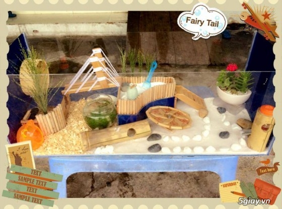 Thủ Đức - Quận 9 - Fairy Tail hamster shop - Shop hamster giá rẻ nhất khu vực - 2