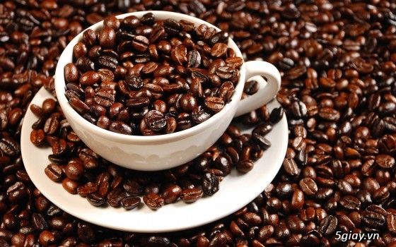 Cung cấp cà phê sạch nguyên chất hà nội, Cà phê nguyên chất giá rẻ, Hà nội cà phê - 1