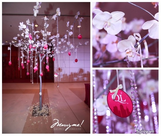 Cây khô trang trí,Cây khô trang trí tiệc cưới,event,cành cây khô..... | 5giay Cây khô trang trí,Cây khô trang trí tiệc cưới,event,cành cây khô..... | 5giay