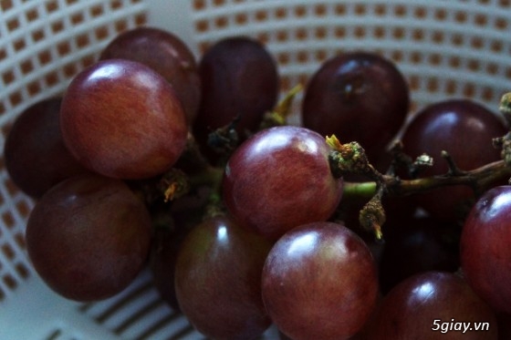 Bán nhanh bộ máy phim Minolta Maxxum 400si - 2