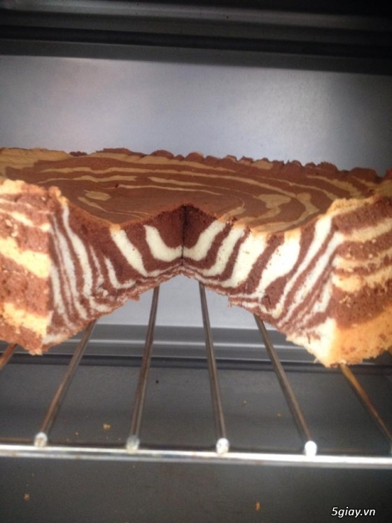 Suris Cake: Tiramisu, Mousse, Bông lan cuộn, Bông lan trứng muối.. đẳng cấp bánh ngon