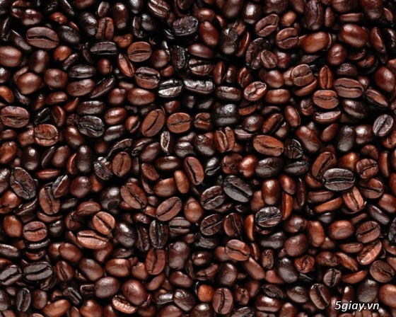 Cung cấp cà phê hạt nguyên chất giá rẻ nhất tp hcm