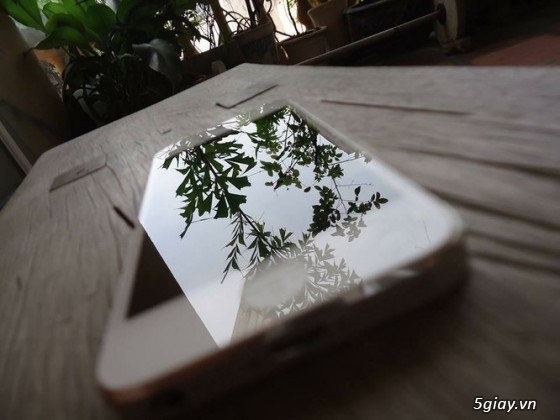 Bán Gấp iphone 5 64G trắng đẹp like new nữ sài kỹ