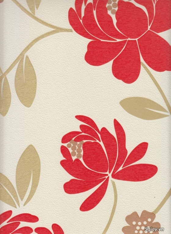 giấy dán tường giá rẻ - 4