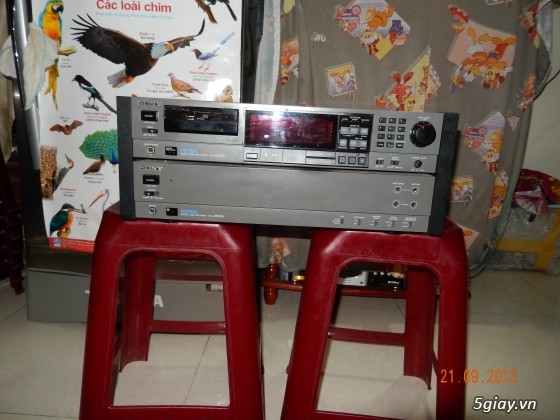 Minh's Cassette - 40