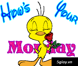 iPhone 5 giá chỉ 3.990, iPhone 5c giá chỉ 3.390 khuyến mại sim ghép