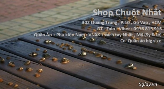 Shop CHUỘT NHẮT : 302 Quang Trung, Gò Vấp - 2