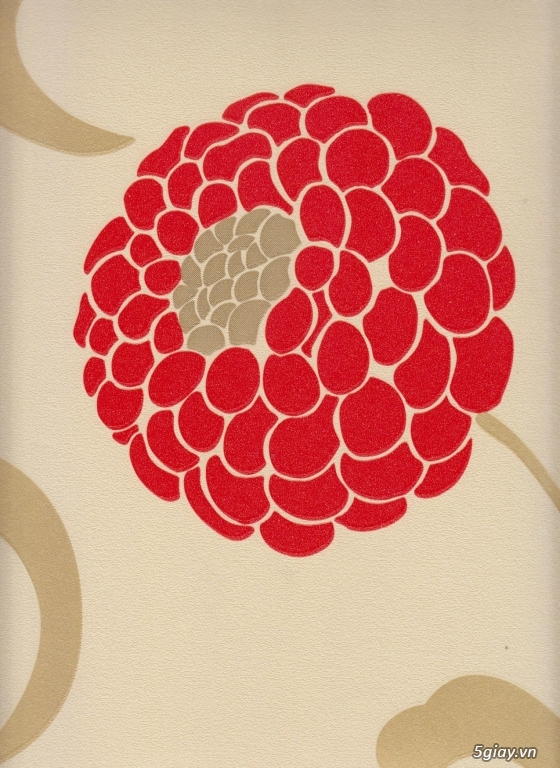 giấy dán tường giá rẻ - 2