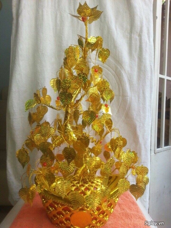 Cây Vàng Bạc , Bồ Đề , Phát Tài Phát Lộc Phong Thủy - 5