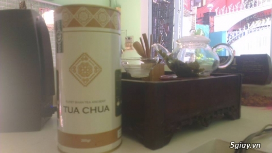 Trà Tuyết Shan cổ thụ trà Việt của người Việt Nam