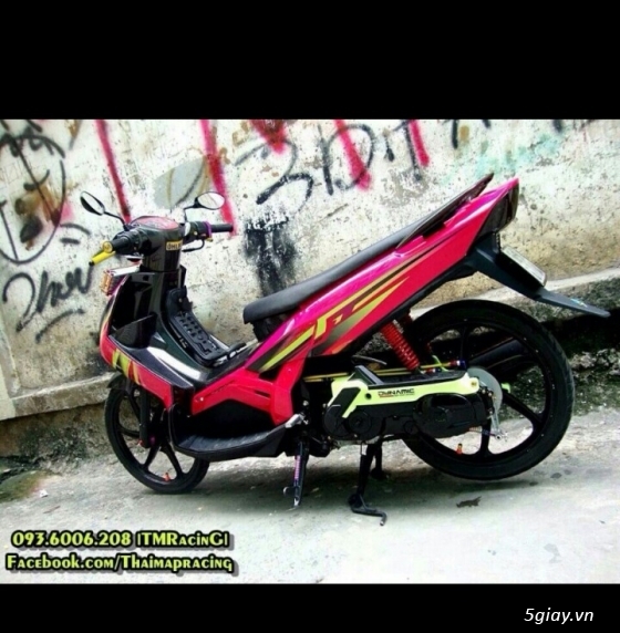 Nouvo 2 ThaiLand Kiểng đẹp