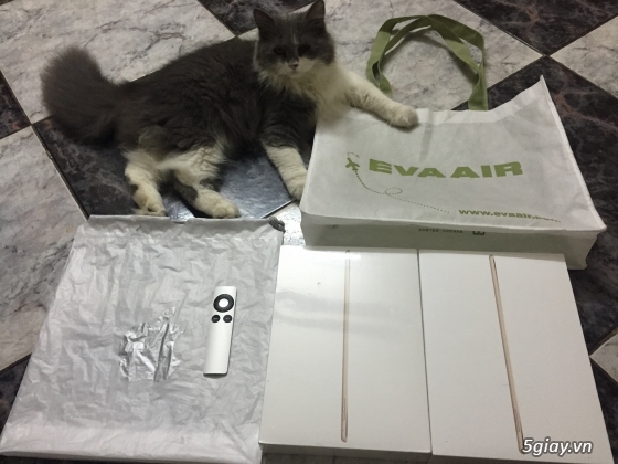 Bán ipad air 2 Gold 16G Wifi chưa active !!!!!!!!!