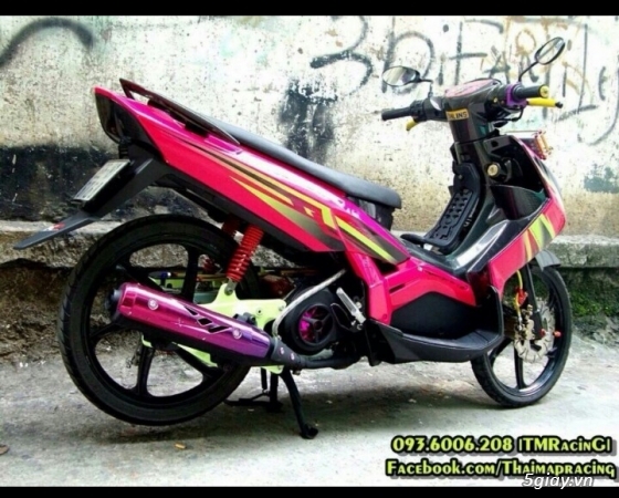 Nouvo 2 ThaiLand Kiểng đẹp - 2