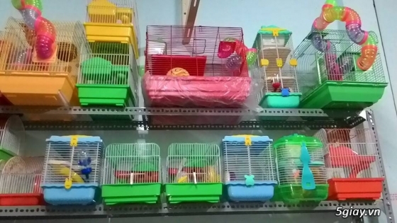 Cung cấp sỉ và lẻ thức ăn, lồng, vật dụng cho hamster, nhím, chó , mèo - 5