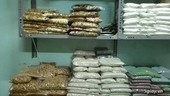 Cung cấp sỉ và lẻ thức ăn, lồng, vật dụng cho hamster, nhím, chó , mèo - 4