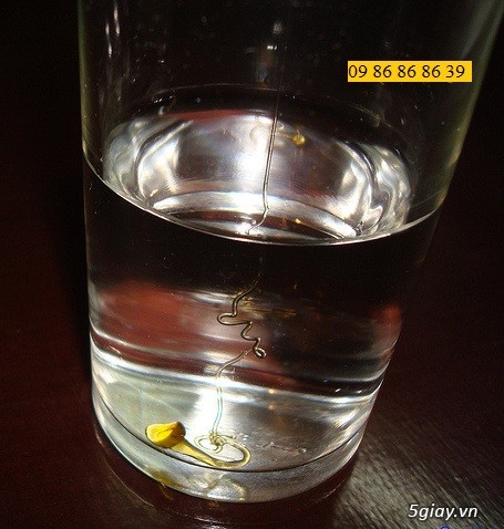 Mật ong rừng Daklak.Cả nhà nhanh tay, mua ngay kẻo hết nè - 1