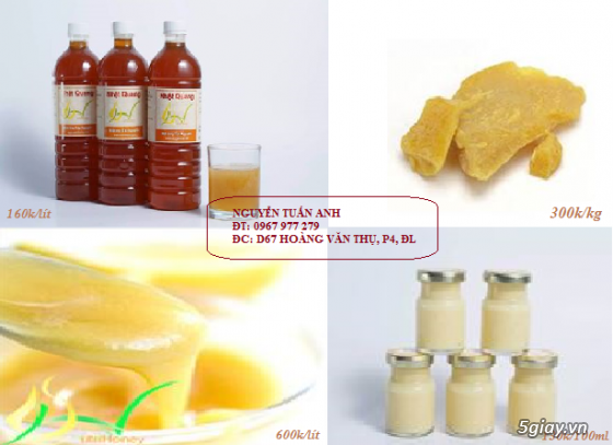 Mật ong nguyên chất 100% được chiết lấy từ hoa cà phê cơ sở Nhật Quang - 1