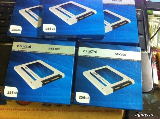 Bán ổ SSD chính hãng CRUCIAL MX100 256gb SATA3 6gb/s