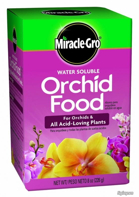 Miracle Gro Orchid Food, 8-Ounce (phân dinh dưỡng phong lan)
