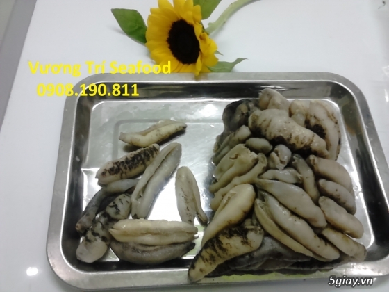 Hải sản Bình Ba Cam Ranh tươi sống, giá cả hợp lý, uy tín đảm bảo. - 5