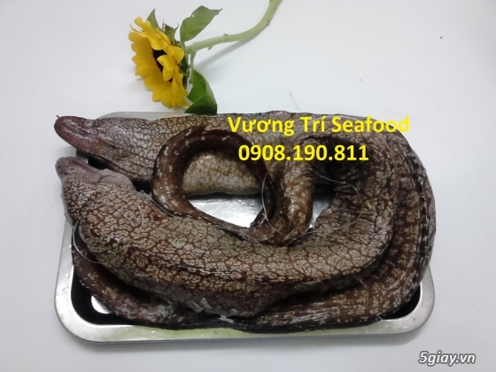 Hải sản Bình Ba Cam Ranh tươi sống, giá cả hợp lý, uy tín đảm bảo. - 8