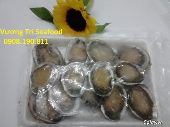 Hải sản Bình Ba Cam Ranh tươi sống, giá cả hợp lý, uy tín đảm bảo. - 3