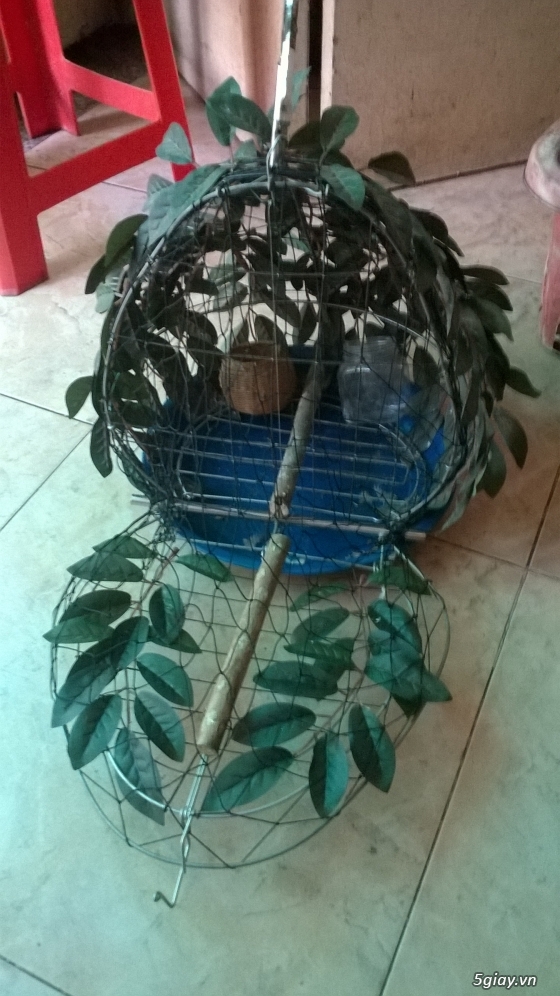 thanh lý cu ghiền người cu khách lụp cu - 3