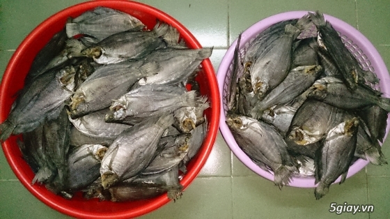 Đặc sản  Khô cá lóc đồng, khô nhái đồng, khô rắn Campuchia - 5