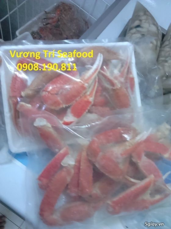 Hải sản Bình Ba Cam Ranh tươi sống, giá cả hợp lý, uy tín đảm bảo. - 15