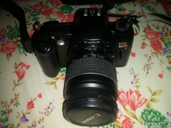 Đồ cổ Canon EOS Rebel X ,vài cái máy ảnh chụp phim