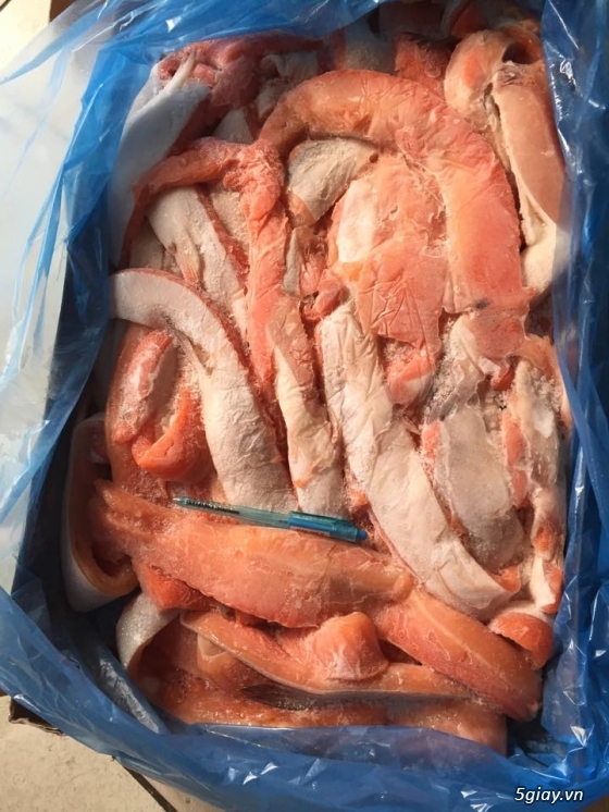 Cung cấp cá hồi cắt lát, cá hồi filet, cá viên,răng mực, cá bóp, cá bò da, basa file