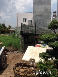 Đất nền ngô chí quốc bình chiểu thủ đức sổ riêng - 1