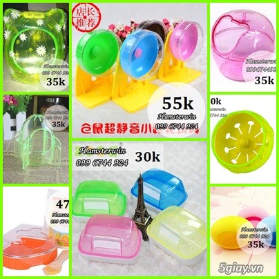 HCM[Tân Phú]_Hamsterwin shop_Chuyên cung cấp vật tư cho hamster giá siêu rẻ - 4