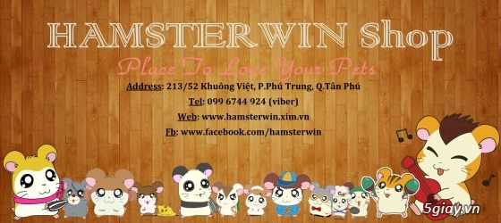 HCM[Tân Phú]_Hamsterwin shop_Chuyên cung cấp vật tư cho hamster giá siêu rẻ