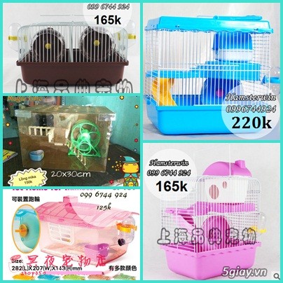 HCM[Tân Phú]_Hamsterwin shop_Chuyên cung cấp vật tư cho hamster giá siêu rẻ - 2