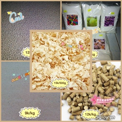HCM[Tân Phú]_Hamsterwin shop_Chuyên cung cấp vật tư cho hamster giá siêu rẻ - 10