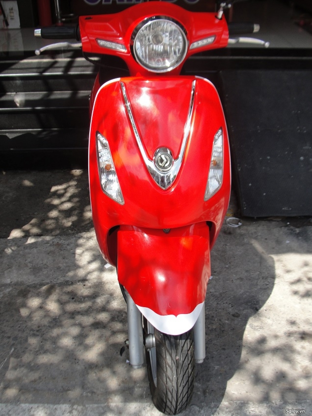 Attila elizaberth - 2008