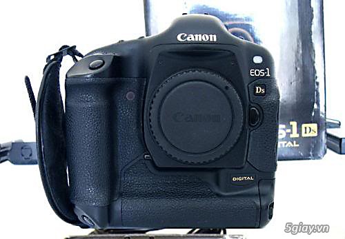 Canon 5D mark I và 1Ds mark I - 3
