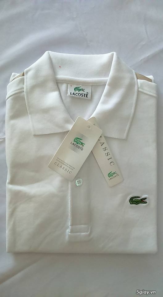 áo lacoste hàng thái lan về -  sỉ lẻ toàn quốc - 2