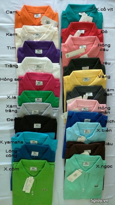 áo lacoste hàng thái lan về -  sỉ lẻ toàn quốc - 20