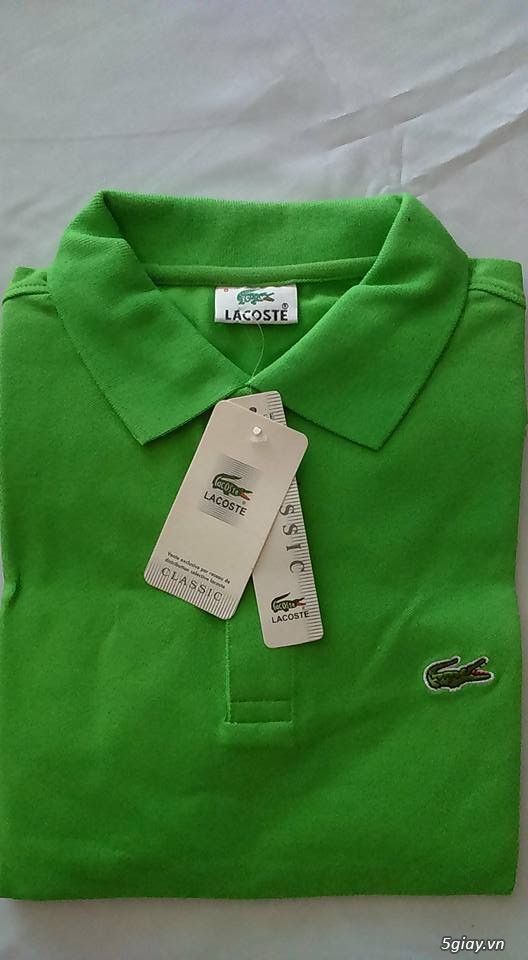 áo lacoste hàng thái lan về -  sỉ lẻ toàn quốc - 7