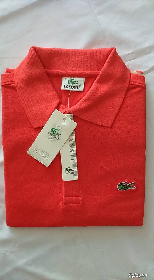 áo lacoste hàng thái lan về -  sỉ lẻ toàn quốc - 14