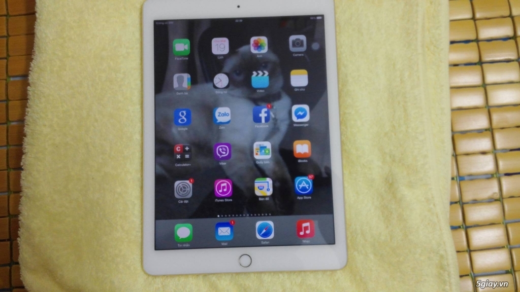 Bán iPad Air 2  Cellular mới dùng 2 tháng - 1
