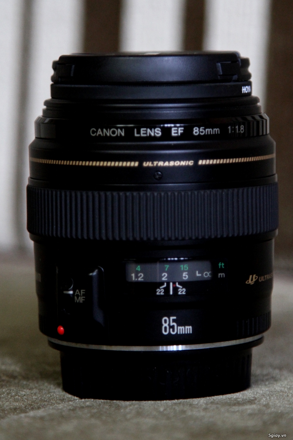 Canon 7D - Lens 85 F1.8 - 2
