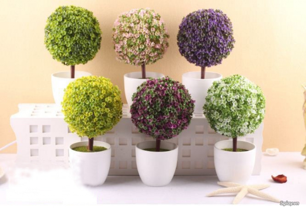 GOVIETDECOR - kệ gỗ trang trí, đồ trang trí, khung ảnh, decal dán tường - 4