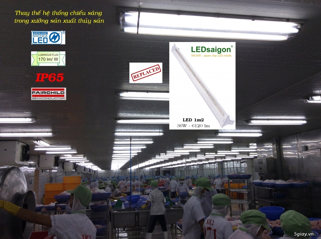 Đèn LED Nhật Bản sản xuất tại VN, BH 36 tháng