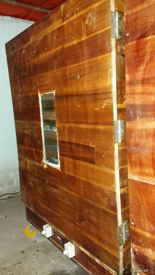 Vịt Trời Bình Dương - 7