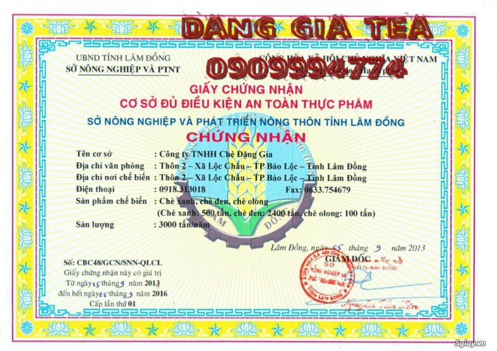 Trà Oolong cao cấp - quà tặng sang trọng mùa trung thu.